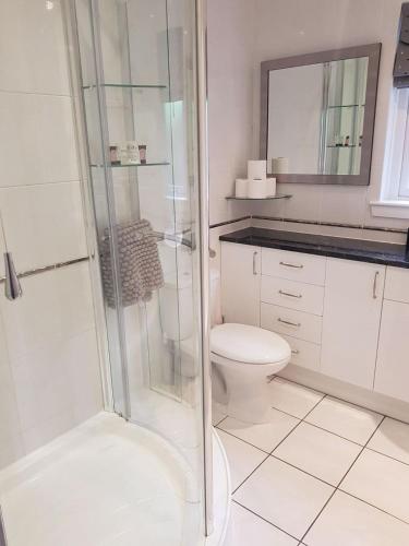 a white bathroom with a shower and a toilet at Solas in Kensaleyre
