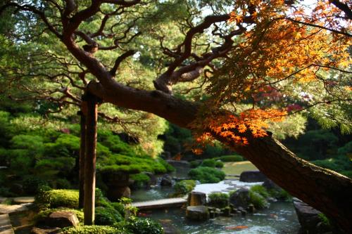 Gallery image of Matsudaya Hotel in Yamaguchi