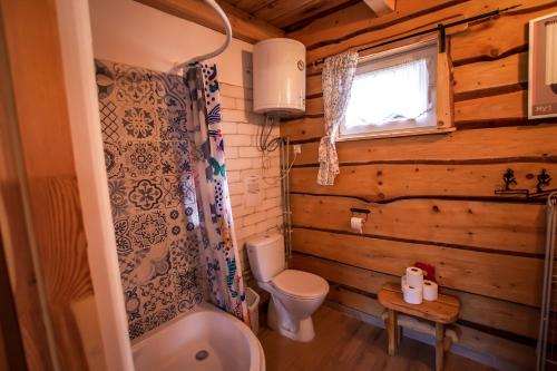 a small bathroom with a toilet and a sink at LESZCZYNOWY STOK in Lutowiska