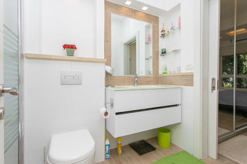 La salle de bains est pourvue d'un lavabo, de toilettes et d'un miroir. dans l'établissement Carmel Boutique Apartments - Urban Forest, à Haïfa
