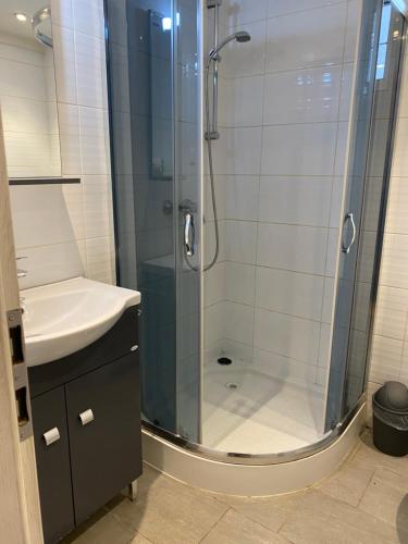 a bathroom with a shower and a sink at Studio Apartment Nagykovácsi in Nagykovácsi