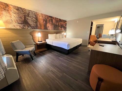 una camera d'albergo con letto e sedia di Best Western Tree City Inn a McMinnville