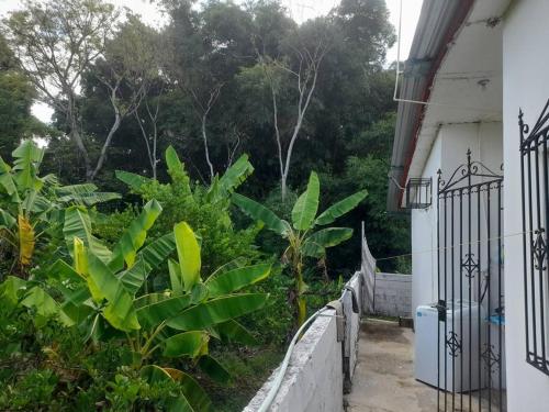 a garden outside a house with a fence and plants at Casa zona arqueologica,cerca de ruinas, zoológico y cascadas con lavadora in Palenque
