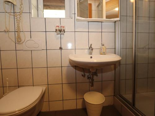 a bathroom with a sink and a toilet at Bergheimat L in Winkle