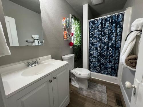 uma casa de banho com um lavatório, um WC e um chuveiro em Roomy single bedroom with a huge back yard em Billings