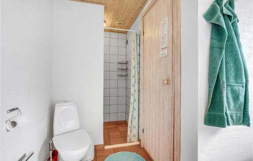 a bathroom with a toilet and a green towel at Awesome Home In Lemvig With Kitchen in Lemvig
