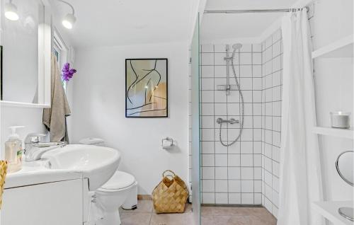 埃伯爾措夫特的住宿－Nice Home In Ebeltoft With Wifi，带淋浴、卫生间和盥洗盆的浴室