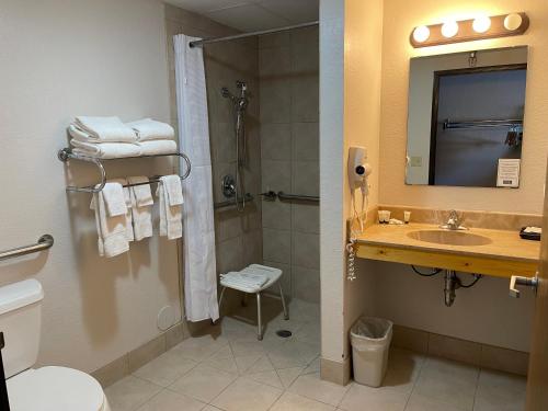 uma casa de banho com um lavatório, um chuveiro e um WC. em Walker Hotel em Walker