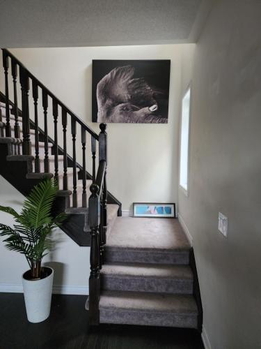 Latchers cottage – Photos 3