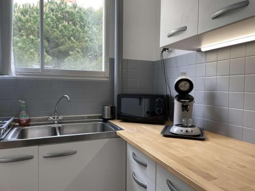 une cuisine avec un évier et un mixeur sur un comptoir dans l'établissement Appartement 2 pièces climatisé avec terrasse - Banyuls-sur-Mer - FR-1-225C-110, à Banyuls-sur-Mer