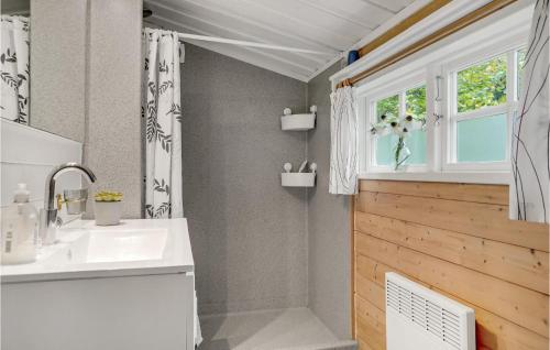 La salle de bains est pourvue d'un lavabo, d'une douche et d'une fenêtre. dans l'établissement 3 Bedroom Cozy Home In Brkop, à Børkop