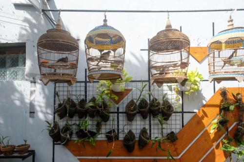 Taman di luar RedDoorz Syariah near Kampus UNSOED Purwokerto