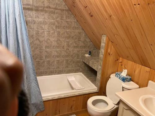 a wooden bathroom with a toilet and a bath tub at Castle life in Town in Cumberland