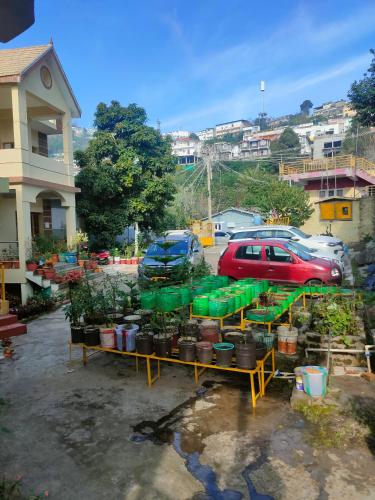 a group of potted plants on display in a parking lot at Misba Homestay Kodai in Kodaikānāl