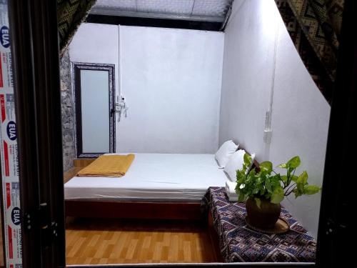 a small room with a bed and a potted plant at Yen Nhi Homestay Ban Gioc in Cao Bằng
