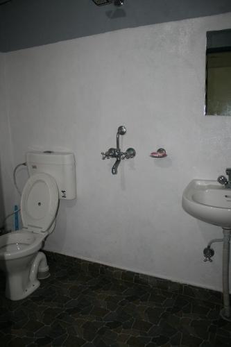 a bathroom with a toilet and a sink at Sosa beds and resturant in Pokhara