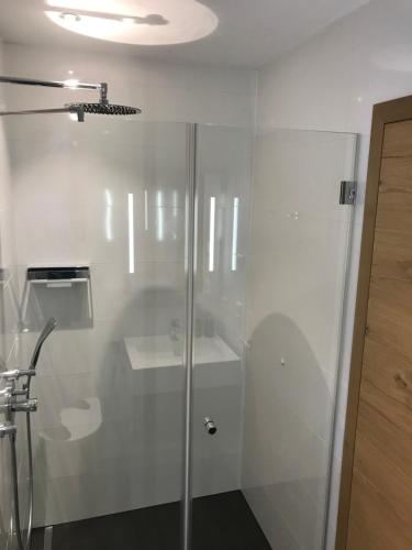 a glass shower in a bathroom with a sink at Lea am See - Bio Design Appartement in Tegernsee