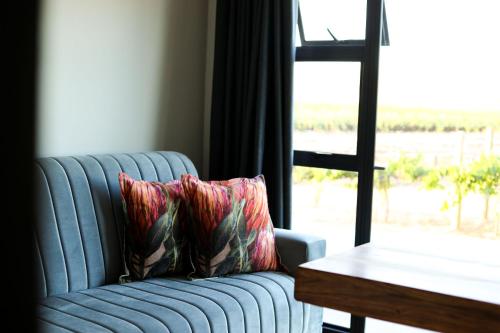 a blue couch with two pillows sitting next to a window at STEYNMOND COTTAGE in Kakamas