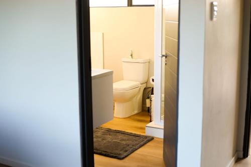 a bathroom with a toilet and a mirror at STEYNMOND COTTAGE in Kakamas