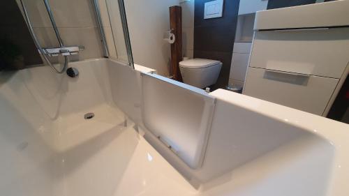 a white bathroom with a shower and a toilet at Donauhosting, Stadt Land Fluss in Unterkirchberg