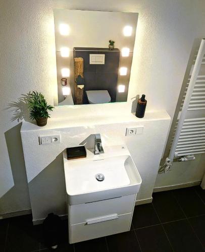 a bathroom with a white sink and a mirror at Donauhosting, Stadt Land Fluss in Unterkirchberg