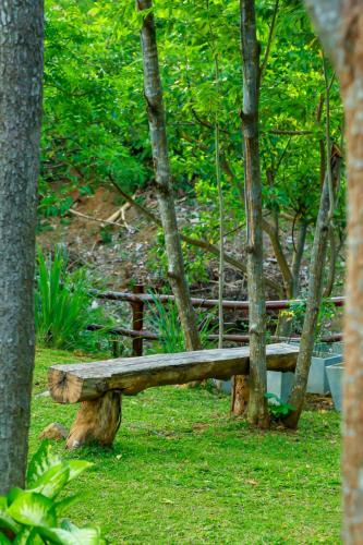 Ein Garten an der Unterkunft Doola River Edge