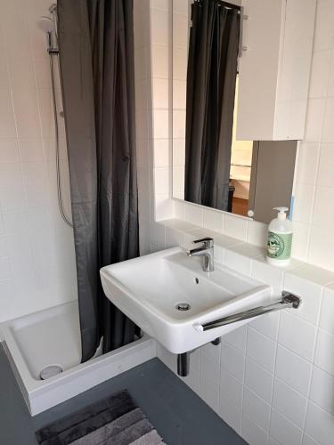 a bathroom with a sink and a shower curtain at Monteurunterkunft Heger - Beste Verkehrsanbindung in Aalen