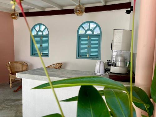 eine Küche mit zwei blauen Fenstern und einer Theke in der Unterkunft Blue Swan Inn - Apartment in Unawatuna