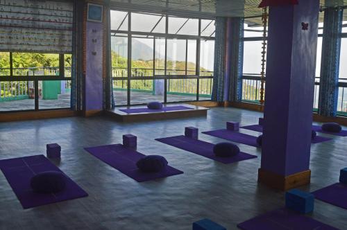 a yoga class with purple mats in a room with windows at Yoga House in McLeod Ganj