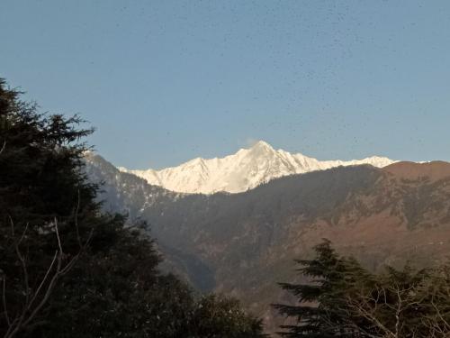 a snow covered mountain in the distance with trees at Yoga House in McLeod Ganj