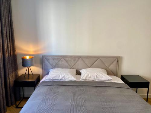 een slaapkamer met een bed met 2 kussens en een lamp bij Cozy Reimani Residence - City Heart Free Parking in Tallinn