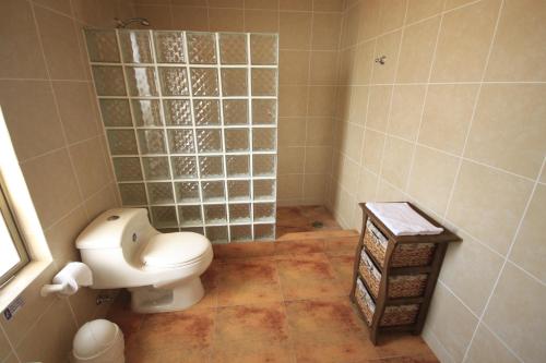 a bathroom with a toilet and a tiled shower at Hotel El Bramador in Copiapó