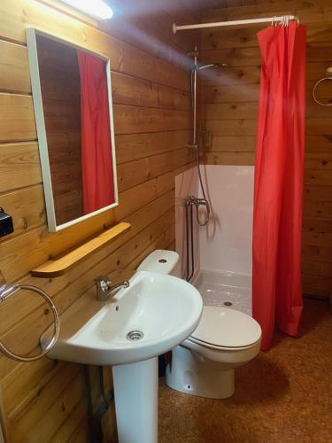 a bathroom with a sink and a toilet and a mirror at Bungalow & Camping Fuente De Regrustan in Graus