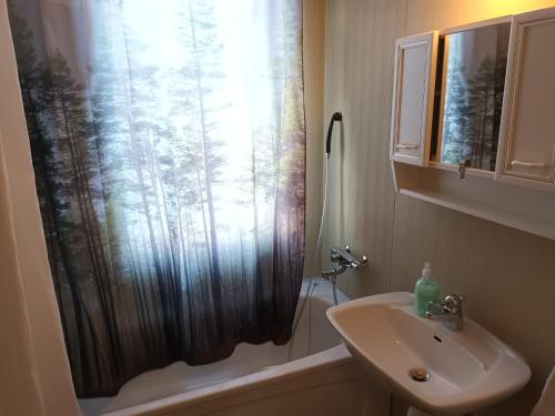 a bathroom with a sink and a shower curtain at Dals Långeds B&B in Dals Långed