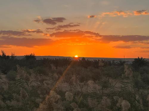 بدوين كامب Badween Camp – Photos 2