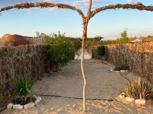 بدوين كامب Badween Camp – Photos 3