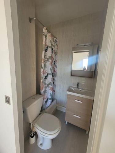 une petite salle de bain avec toilettes et lavabo dans l'établissement Béréa - Les Cormorans - Vue port et mer, à Frontignan