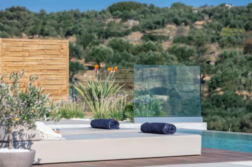 a pool with two blue towels sitting on a table next to a pool at Villa Niolos II in Stérnai