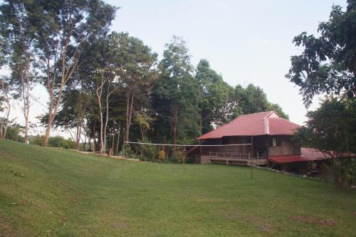 a building in a field next to a forest at Tafelberg detached bungalow with swimming pool in Chiang Rai