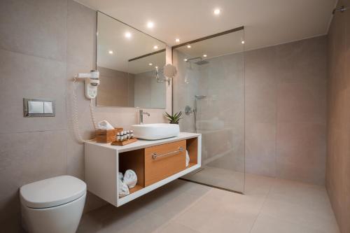 a bathroom with a toilet and a sink and a mirror at Megisti Hotel in Meyisti