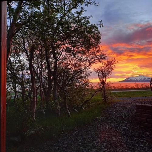 Gallery image of Þòrsmörk farm 12 min from Akureyri in Svalbarð