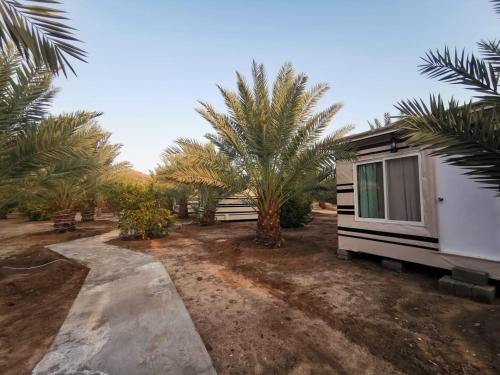 a campsite with palm trees and a caravan at Almazham hotel room resort in AlUla