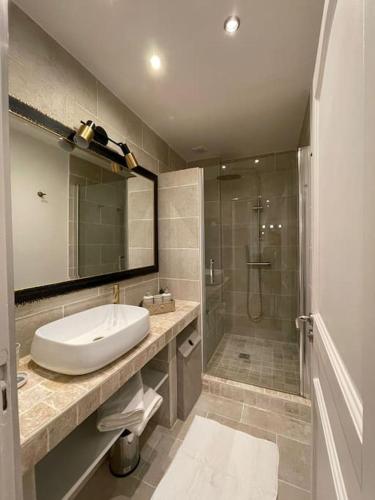 a bathroom with a sink and a shower at Paris15 eme Chic appartement atypique et calme in Paris