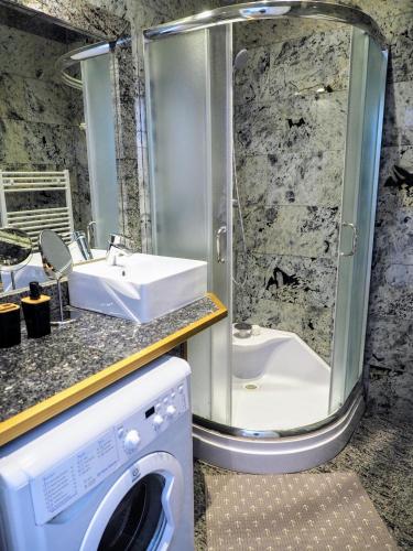 a bathroom with a sink and a washing machine at City Villa Schönbrunn Apartments - Contactless 24h Check-In in Vienna