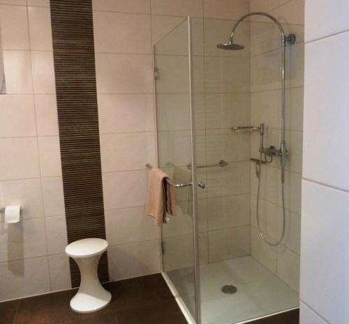 y baño con ducha de cristal y aseo. en Antoinettes Ferienwohnung, en Ilmenau