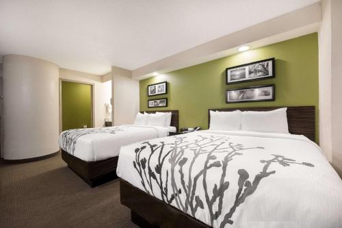 ein Hotelzimmer mit 2 Betten und grünen Wänden in der Unterkunft Sleep Inn Athens I-65 in Athens