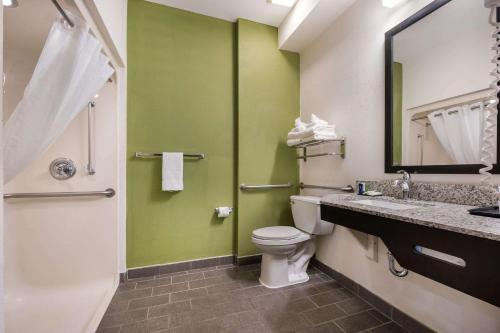 La salle de bains est pourvue de toilettes et d'un mur vert. dans l'établissement Sleep Inn Athens I-65, à Athens