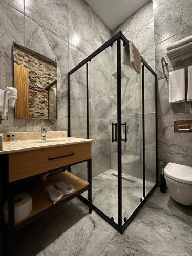 a bathroom with a shower and a sink and a toilet at Berfinn Hotel Ortaköy in Istanbul