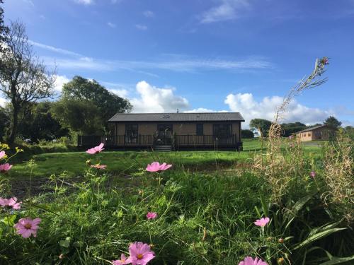 a house in the middle of a field with pink flowers at St Tinney Farm Cornish Cottages & Lodges, a tranquil base only 10 minutes from the beach in Otterham