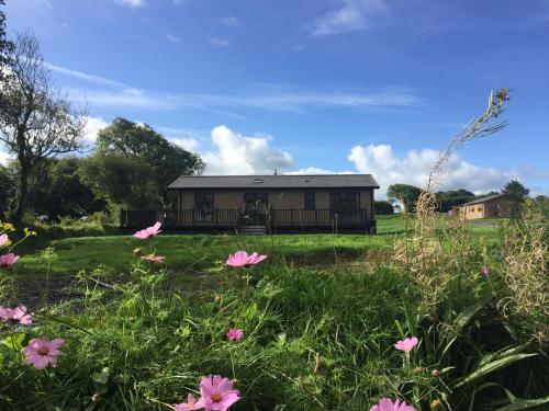 Κήπος έξω από το St Tinney Farm Cornish Cottages & Lodges, a tranquil base only 10 minutes from the beach